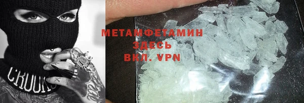 прущие грибы Осташков